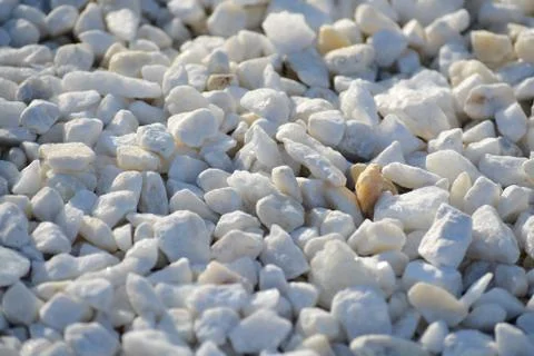 White pebble closeup.  Stock Photos