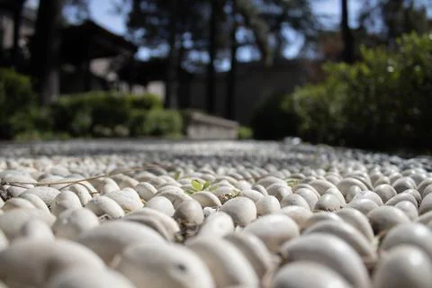 White pebble macro texture Stock Photos
