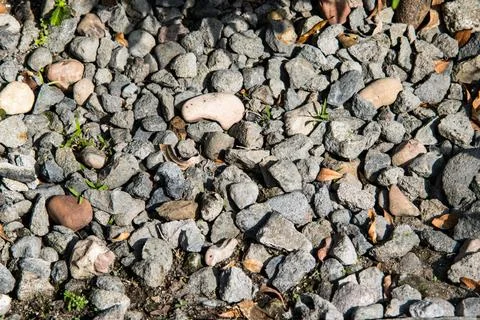White Pebble Stone Texture Background with Smooth Round River Rocks and Nat.. Stock Photos