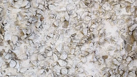 White pebble wall background image, rough decorative concrete surface  Stock Footage 330360683