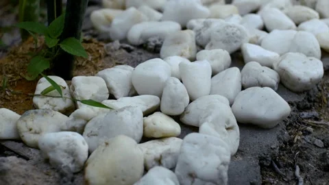 White pebbles Stock Footage 251692513