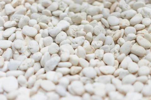 White pebbles lined on the floor. Stock Photos