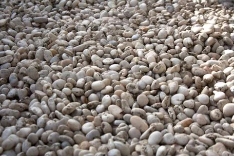 White pebbles texture Stock Photos