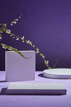 White pedestals in square, rectangle and round shape. Trendy blue background  Stock Photos