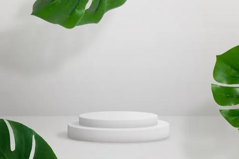 White pedestral on gray surface surrounded by green plant leaves for product  Stock Illustration