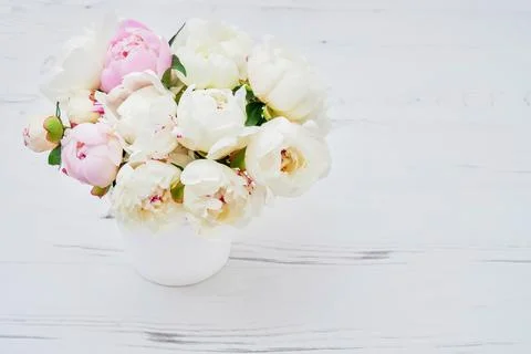 White peonies in the white flower pot. Flowers background. Top view, copy space Stock Photos