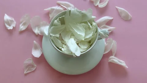 White peony petals falling in a cup, pink background, spa and beauty. Stock Footage 340109490