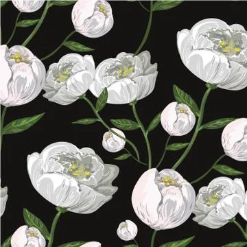 White peony realistic seamless pattern on black background print wrapping Stock Illustration