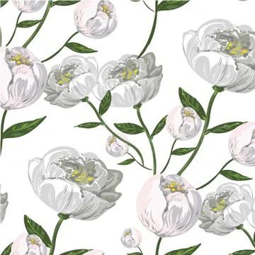 White Peony vector seamless pattern Stock Illustration