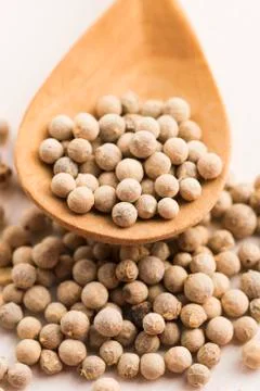 White pepercorn Stock Photos