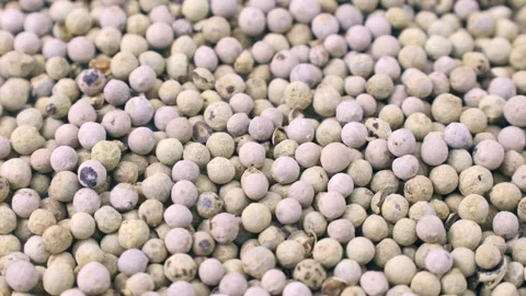 White pepper peppercorns circle rotation close up Stock Footage 271180984
