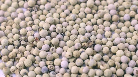 White pepper peppercorns falling down close up Stock Footage 270478020