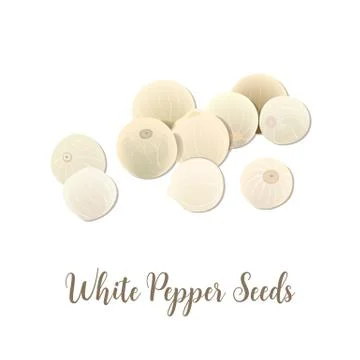 White pepper seeds on white background, top view. Aromatic seeds. spice and Stock Illustration