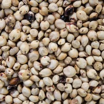 White pepper using for a background. Stock Photos