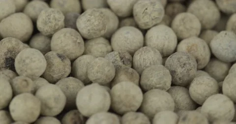 White peppercorns closeup rotating selective focus Stock Footage 168731358