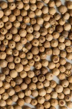 White peppercorns Stock Photos