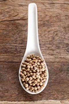 White  peppercorns Stock Photos