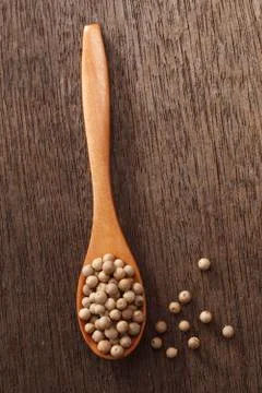 White  peppercorns Stock Photos