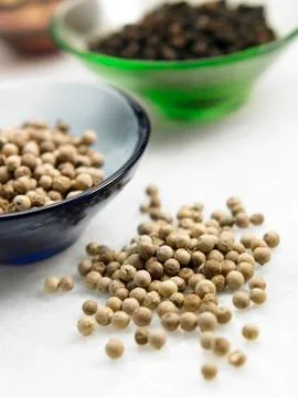 White  peppercorns Stock Photos