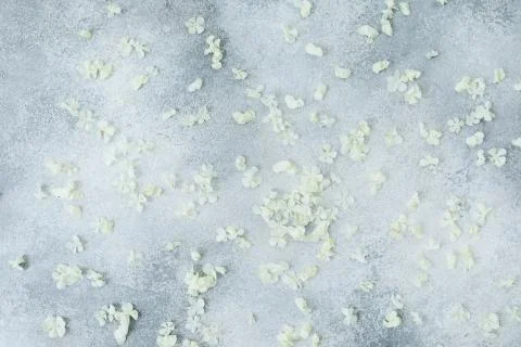 White petals of hydrangea on gray background. Flat lay, Top view Foto stock