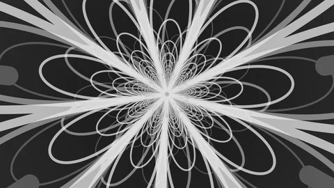 White Petals Rotation Stock Footage 100481469