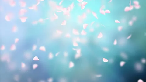 White petals of sakura falling on romantic abstract background. Looped 4K motion Stock Footage 102942390
