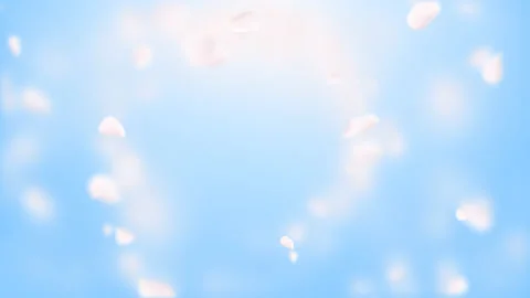 White petals of sakura falling on romantic abstract background. Looped 4K motion Stock Footage 102942976