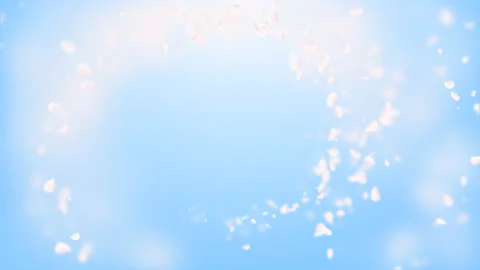 White petals of sakura falling on romantic abstract background. Looped 4K motion Stock Footage 102943876