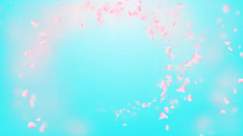 White petals of sakura falling on romantic abstract background. Looped 4K motion Stock Footage 102944969
