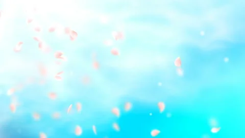 White petals of sakura falling on romantic abstract background. Looped 4K motion Stock Footage 104085584