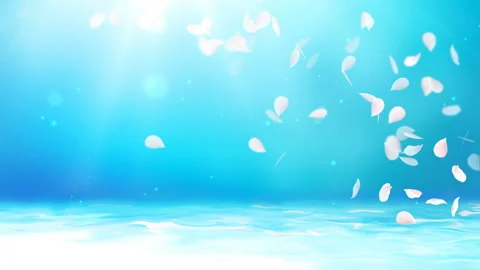 White petals of sakura falling on romantic abstract background. Looped 4K motion Video stock 104090344