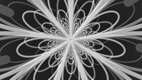 White Petals Zoom Stock Footage 100475209