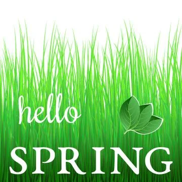 White phrase Hello Spring on green grass Stock Illustration