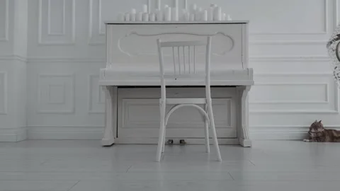 White piano in the room with the cat Stock Footage 201250623