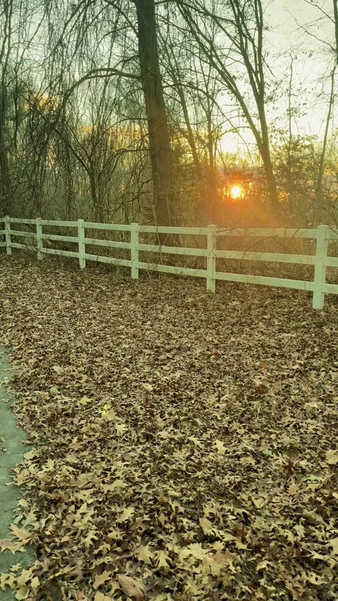 White picket fence Video stock 279523299