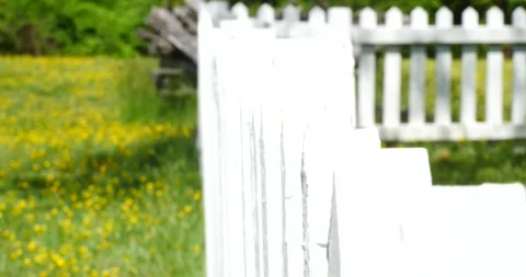 A white picket fence stands in front of a home, surrounded by green plants .. Stock Footage 240700977