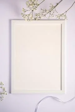 White picture frame with empty template, gypsophila flowers and fabric ribbon Stock Photos