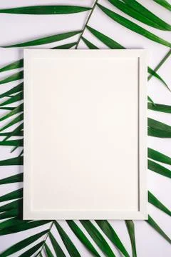 White picture frame with empty template on palm leaves, mockup card Stock Photos