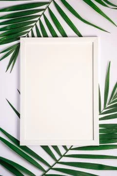White picture frame with empty template on palm leaves, mockup card Stock Photos