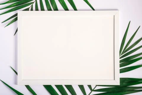 White picture frame with empty template on palm leaves Stock Photos