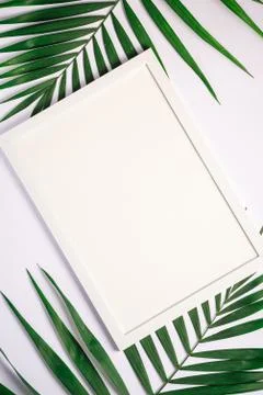 White picture frame with empty template on palm leaves, mockup Stock Photos