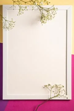 White picture frame with empty template, gypsophila flowers Stock Photos