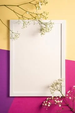White picture frame with empty template, gypsophila flowers Stock Photos