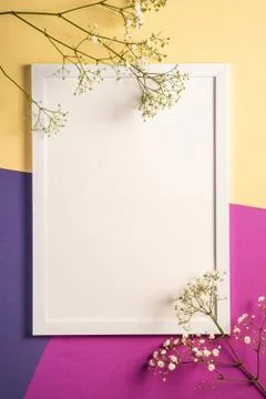 White picture frame with empty template, gypsophila flowers, mockup card Stock Photos