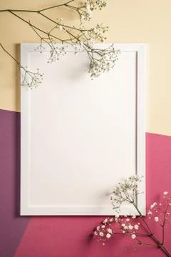 White picture frame with empty template, gypsophila flowers Stock Photos