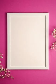 White picture frame with empty template, gypsophila flowers Stock Photos