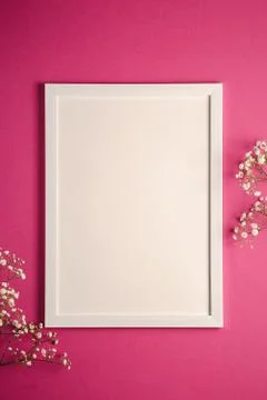 White picture frame with empty template, gypsophila flowers Stock Photos