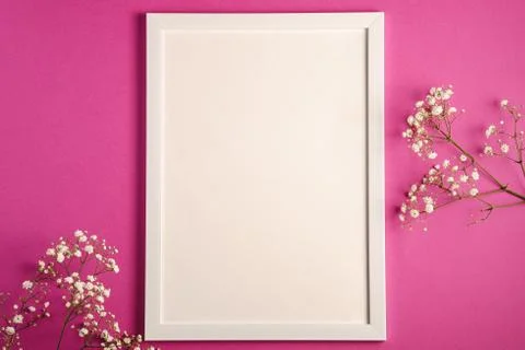 White picture frame with empty template, gypsophila flowers Stock Photos