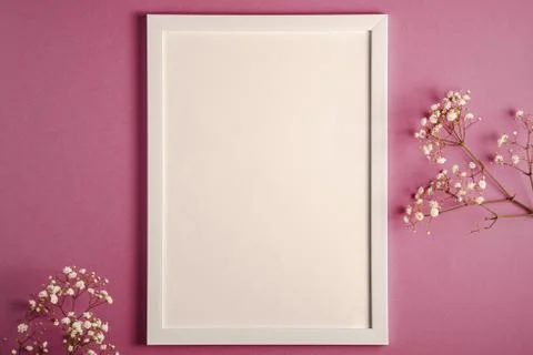 White picture frame with empty template, gypsophila flowers Stock Photos