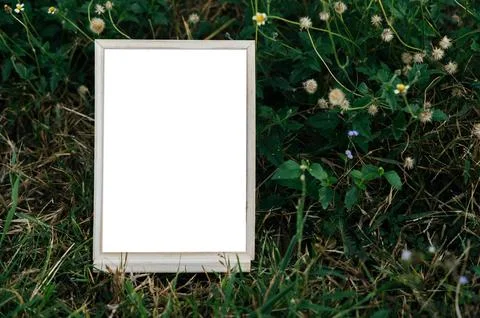 A white picture frame on a tree Stock Photos